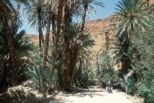 1997_marokko_256